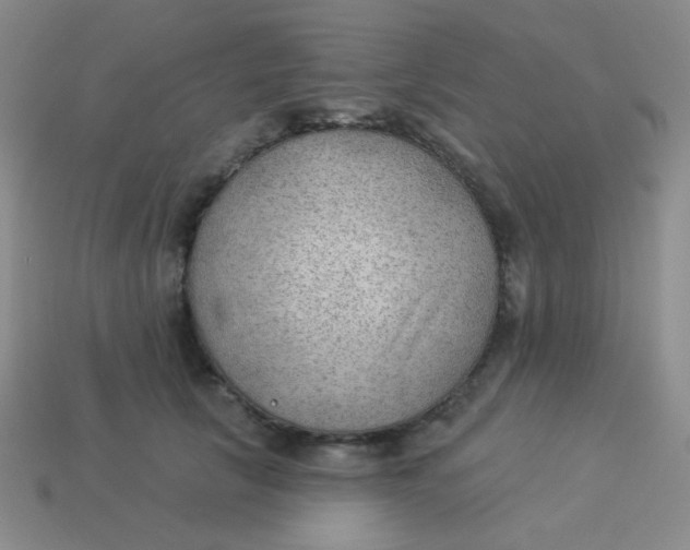 X0000113900657200910151357