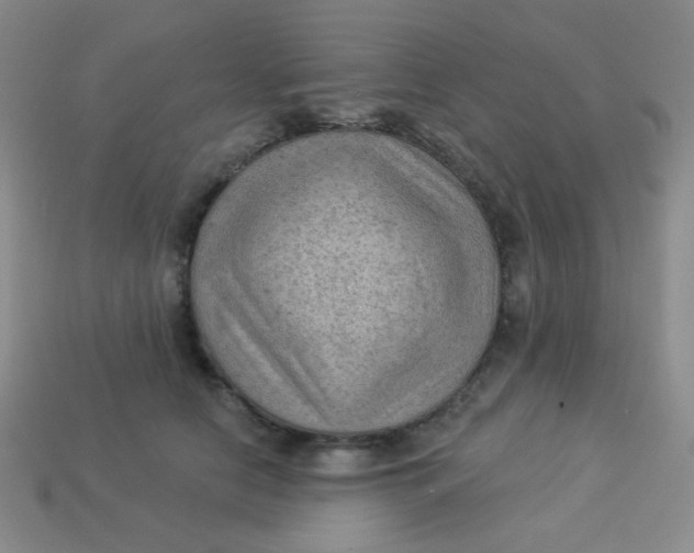 X0000113900658200910151357