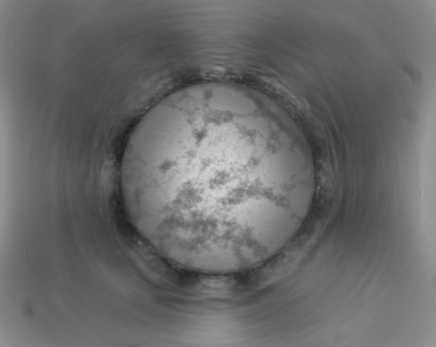 X0000113900659200910151357