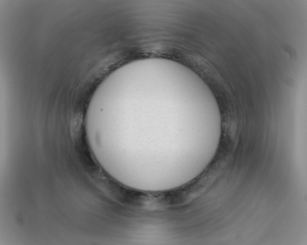 X0000113900660200910151357