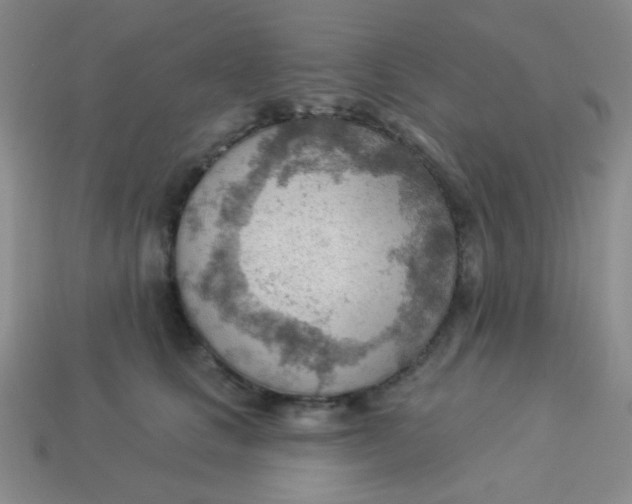 X0000113900661200910151357