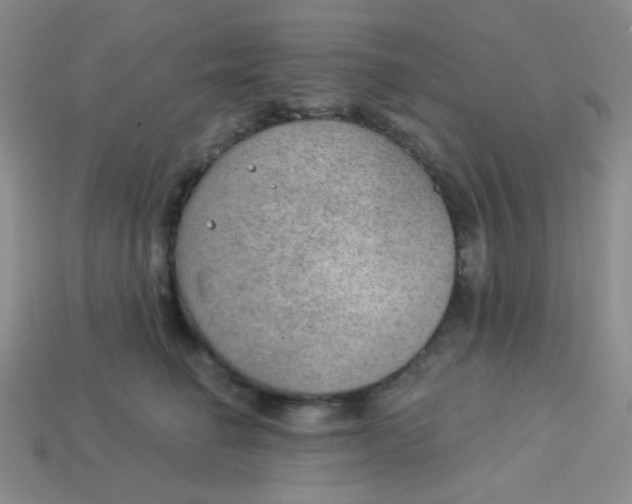 X0000113900662200910151357