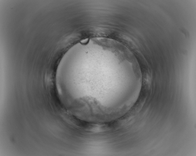 X0000113900663200910151357