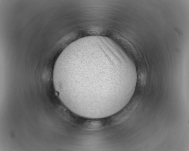 X0000113900665200910151357