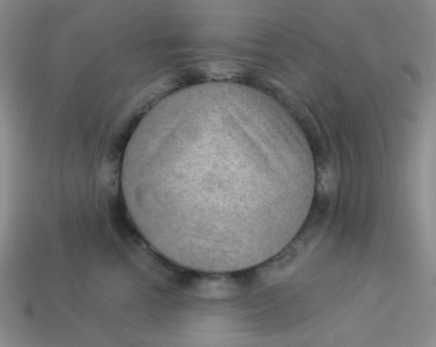 X0000113900666200910151357