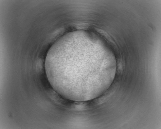 X0000113900667200910151357