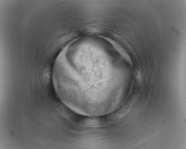 X0000113900668200910151357