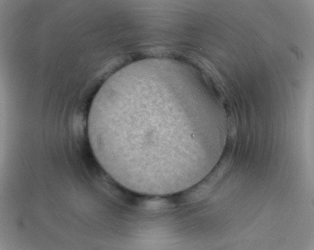 X0000113900669200910151357