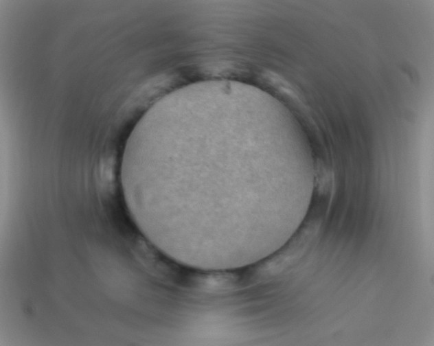 X0000113900670200910151357