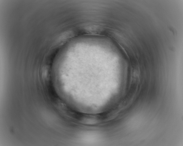 X0000113900671200910151357