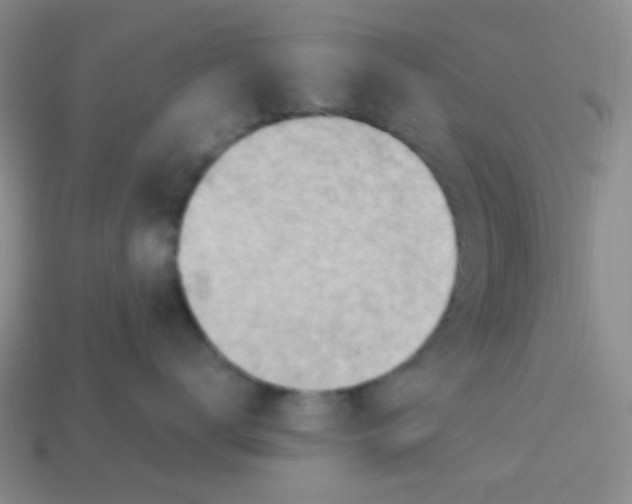 X0000113900672200910151357