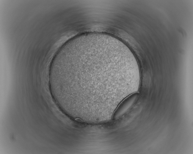 X0000113900673200910151356