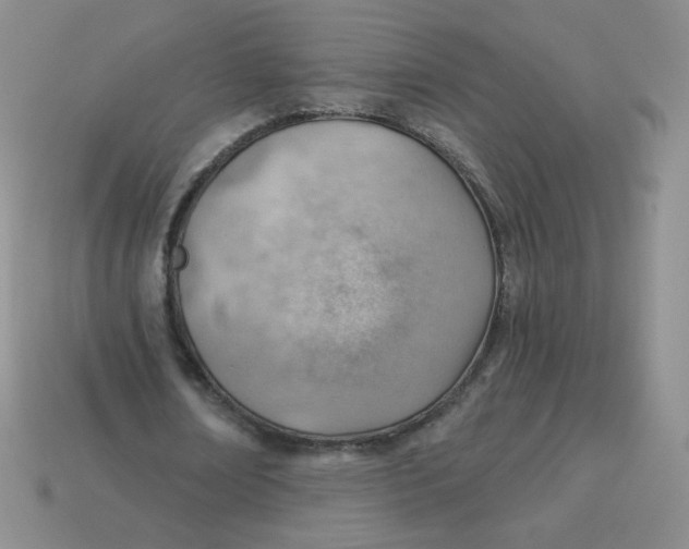 X0000113900674200910151356