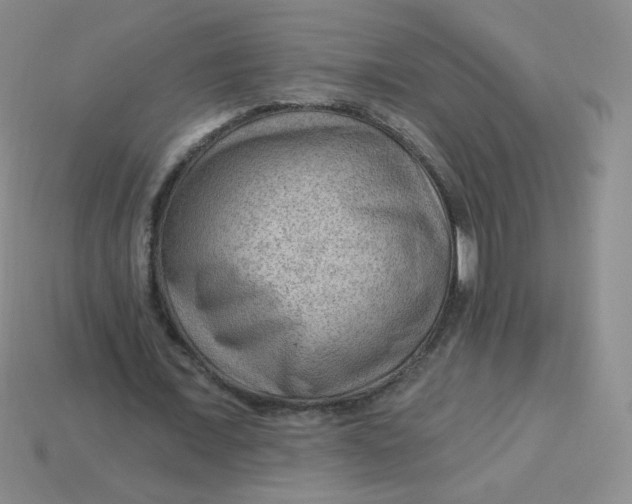 X0000113900675200910151356