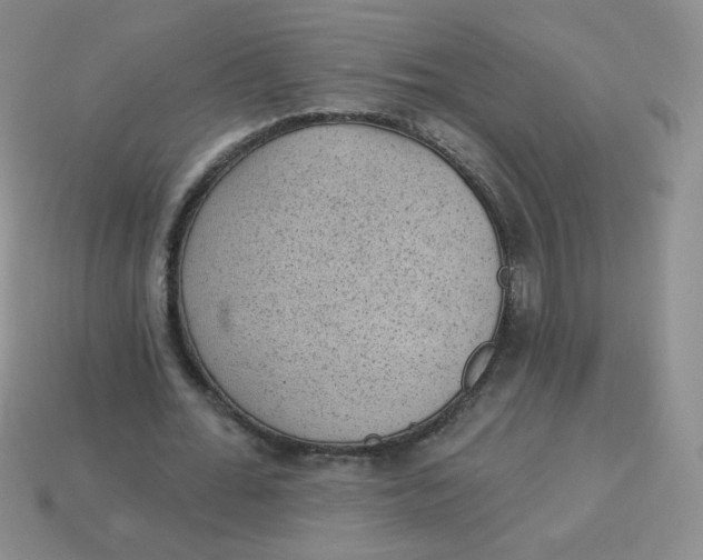 X0000113900676200910151356