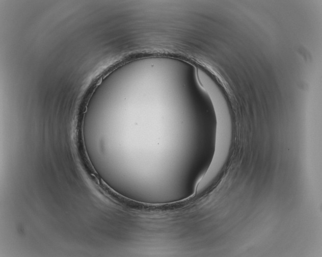 X0000113900677200910151356