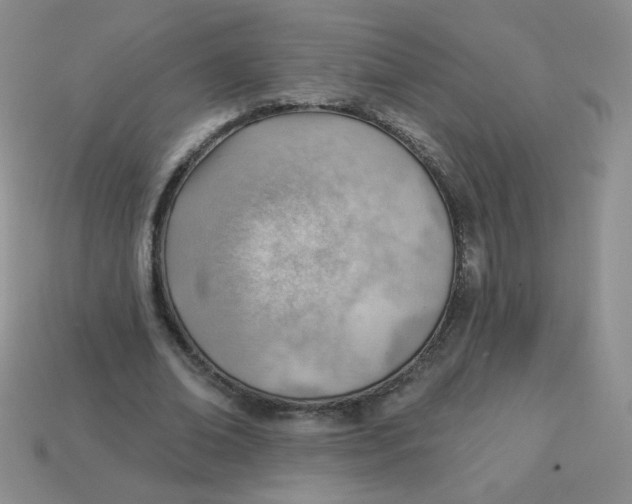 X0000113900678200910151356