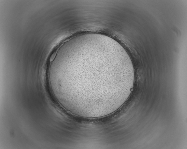 X0000113900679200910151356