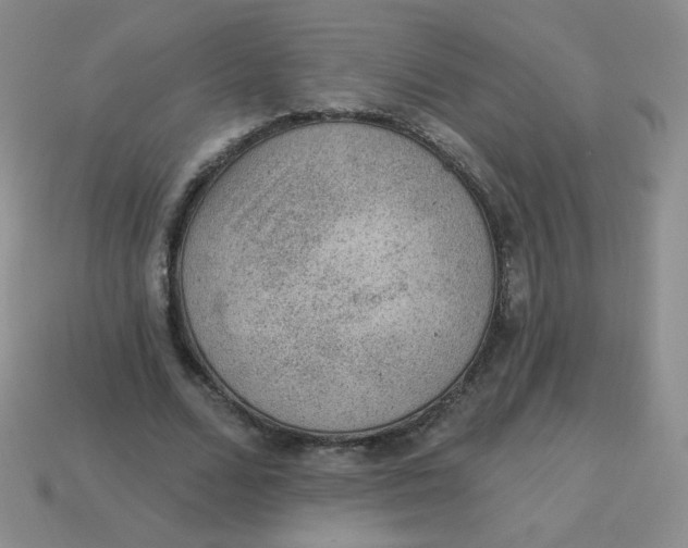 X0000113900680200910151356