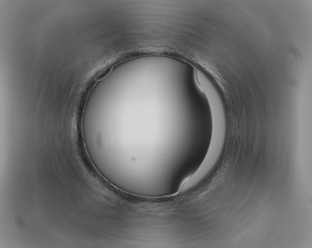 X0000113900681200910151356