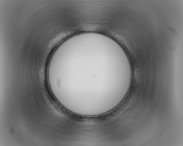 X0000113900682200910151356