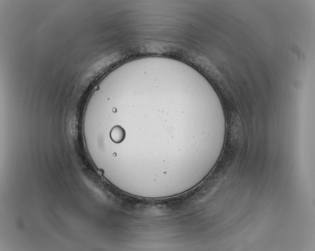 X0000113900683200910151356