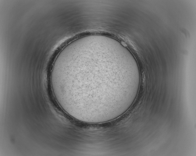 X0000113900684200910151356