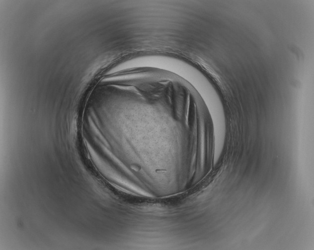 X0000113900685200910151356