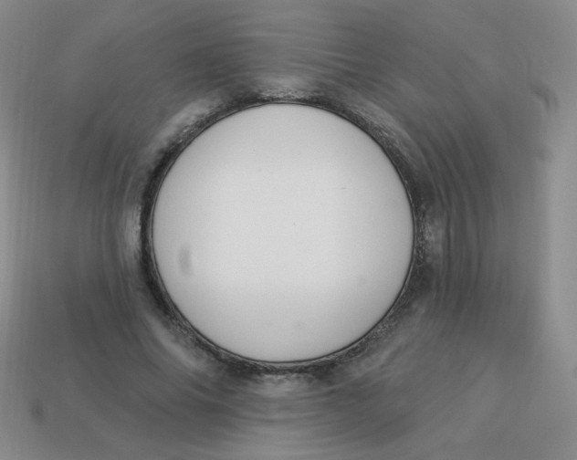 X0000113900686200910151356