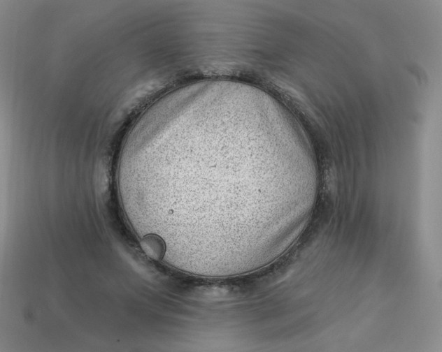 X0000113900687200910151356