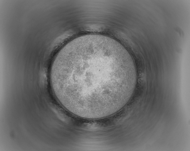 X0000113900688200910151356