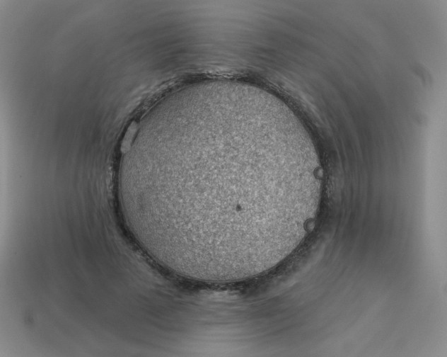 X0000113900689200910151356