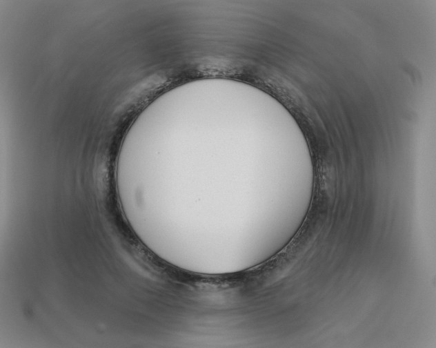 X0000113900690200910151356