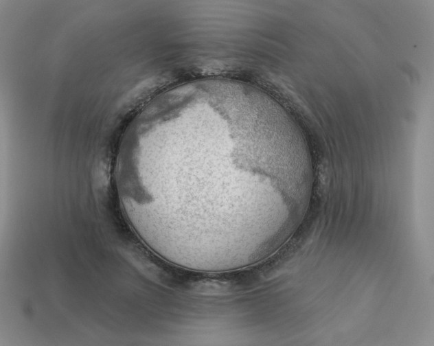 X0000113900691200910151356