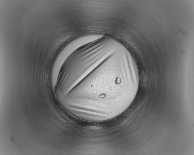 X0000113900692200910151356