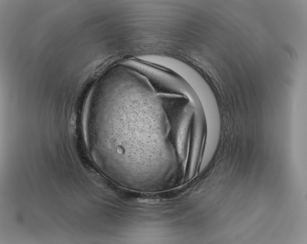 X0000113900693200910151356