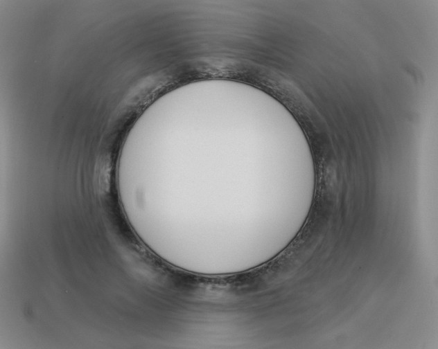 X0000113900694200910151356