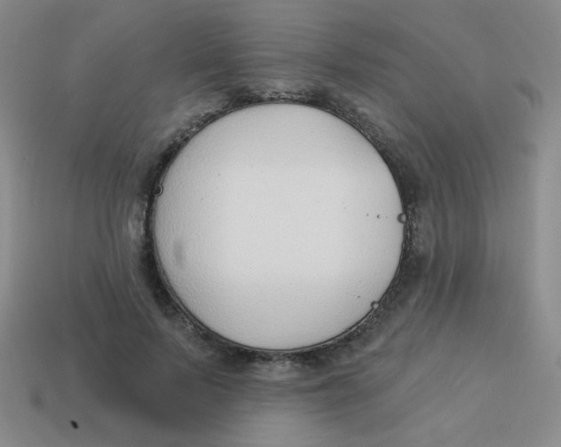 X0000113900695200910151356