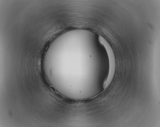 X0000113900696200910151356