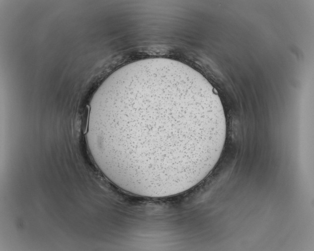 X0000113900697200910151356