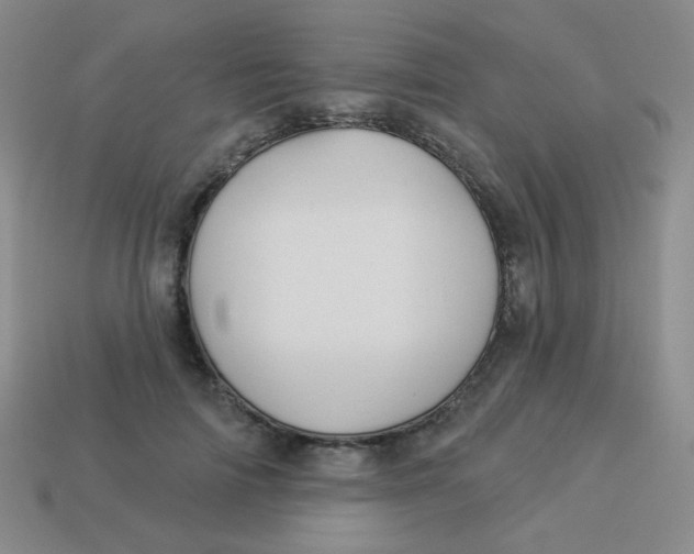 X0000113900698200910151356