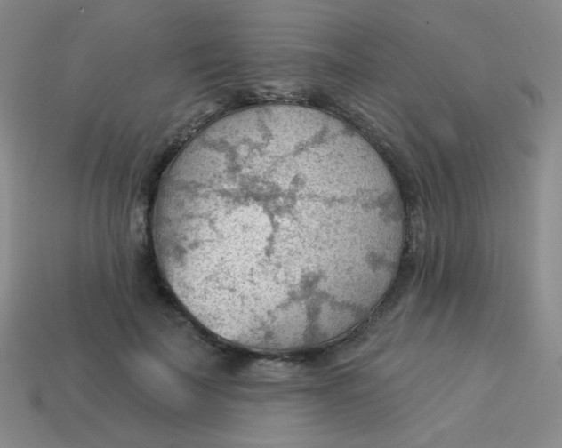 X0000113900699200910151356