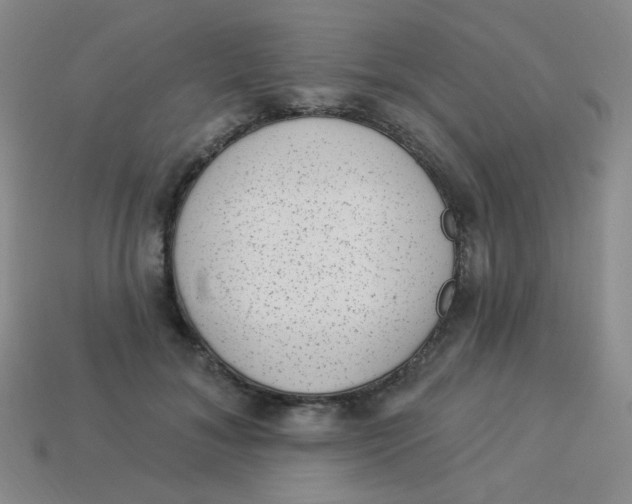 X0000113900700200910151356