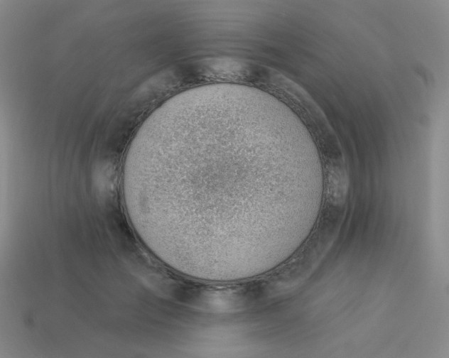 X0000113900701200910151356