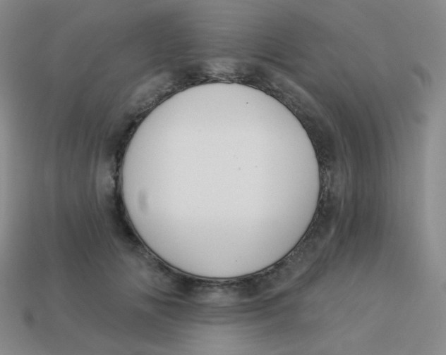 X0000113900702200910151356