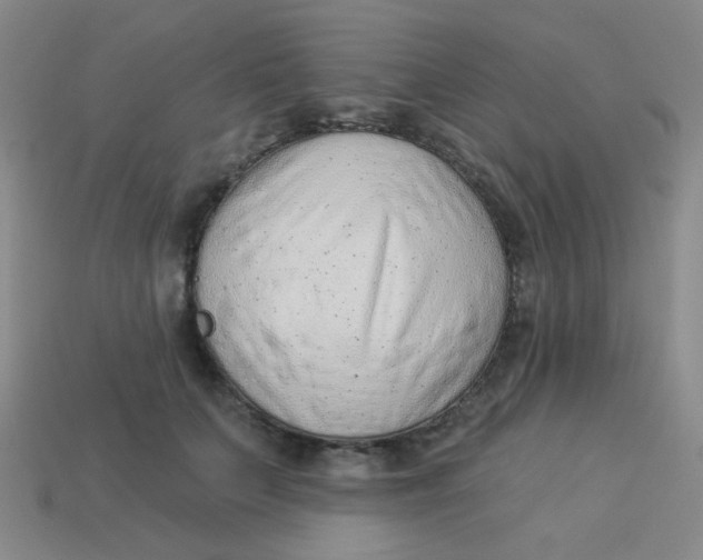 X0000113900703200910151356