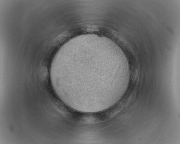 X0000113900704200910151356