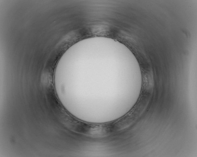 X0000113900705200910151356