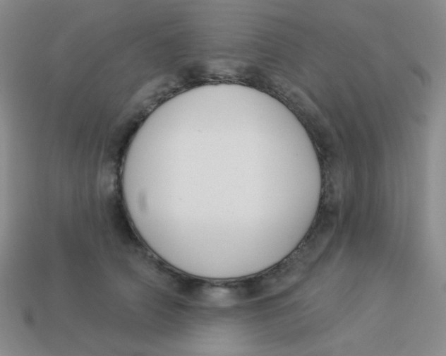 X0000113900706200910151356