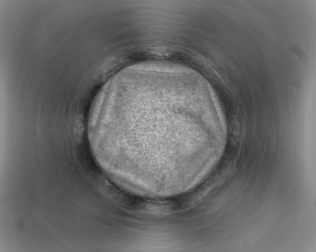 X0000113900707200910151356